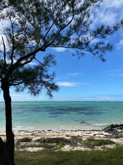Mauritius © Harry Hirsch