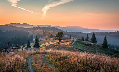 Mountain autumn landscape. Grassy road to the mountains hills during sunset. Nature background - 621269778