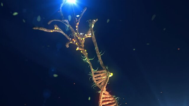 Organic DNA Helix strand made of Trees Leaves and Flowers