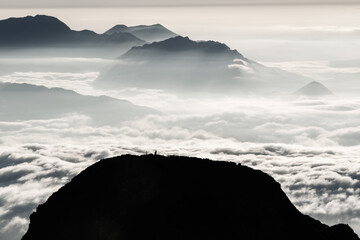 夏の山