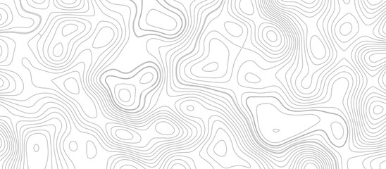 Panorama view gradient multicolor wave curve lines banner background design. Vector illustration. Line topography map contour background .Abstract Topographic map background with wave line.