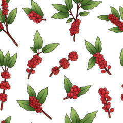 Illustration of coffee plant with red sweet berries and green leaves growing on branches against white background