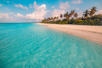 Amazing tropical island. Closeup sea sand waves palm trees. Sunny landscape beach panorama. Beautiful coast travel. Summer exotic relaxing best beach, tourism destination places. Colorful nature scene