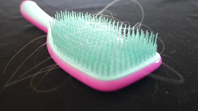 Lost hairs on the comb.Strands of hair stuck between the comb teeth.Green and pink soft female comb.Uncleaned dirty used household items.Soiled ragged dandruff long alopecia baldness dusty dermatology