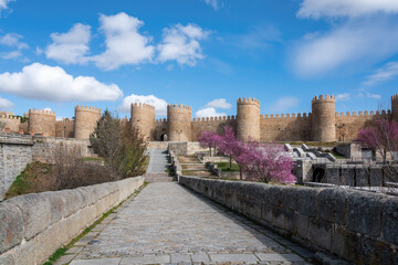 Fototapeta na wymiar Avila Medieval Walls and Roman Bridge - Avila, Spain