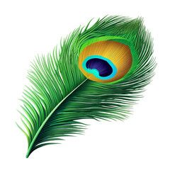 Isolated PNG cut out of a Peacock feather, Generative ai