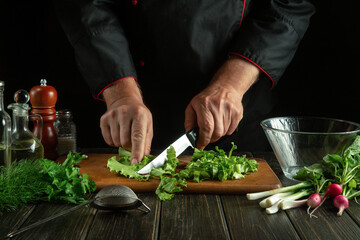 Professional chef cuts fresh lettuce leaves on a cutting board for vitamin salad. Diet menu on being prepared for lunch in the restaurant kitchen