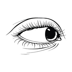 Beautiful hand drawn sketch eye vector illustration line art