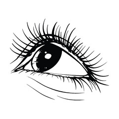 Obraz premium Beautiful hand drawn sketch eye vector illustration line art