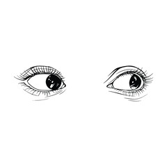 Beautiful hand drawn sketch female eyes vector illustration line art