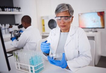 Science, research and a woman with a test in a lab for medicine, healthcare analytics and check....