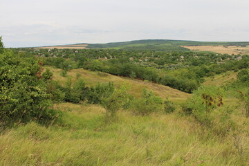 Fototapeta premium A green field with trees and hills