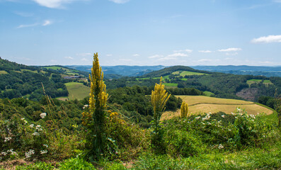 Paysage et nature dans la région de l'Aubrac en France