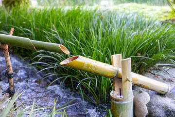 草むらの中のししおどし