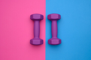 The layout of two rubberized dumbbells of 2 kg of purple color on a blue-pink background, top view. Sports training