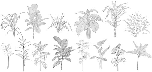Leaves isolated on white collection. Tropical leaves set. Hand drawn abstract illustration. © ARTSTOK
