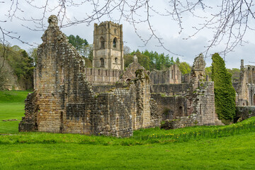Fototapeta premium Detail of the ruins of Fountains Abbey in Yorkshire, United Kingdom in the spring as leaves start to appear
