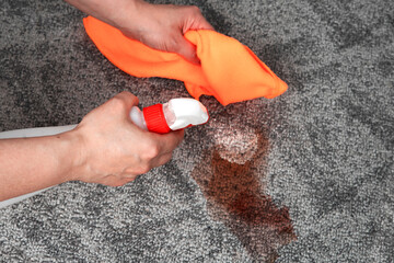  Dark stain, dirty spot on a carpeted floor, hand with cleaning cloth, stain remover spray. Grey...