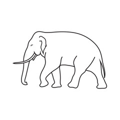Elephant Line drawing icon isolated on white background. Vector illustration EPS 10. Editable stroke.