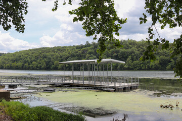 Boat dock on algae cover water