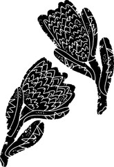 Protea stylized exotic flower. Hand-drawn illustration in linocut style. Black vector element for design