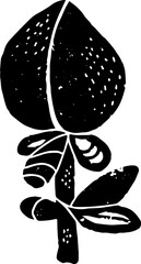 Peach stylized. Hand-drawn illustration in linocut style. Black vector element for design