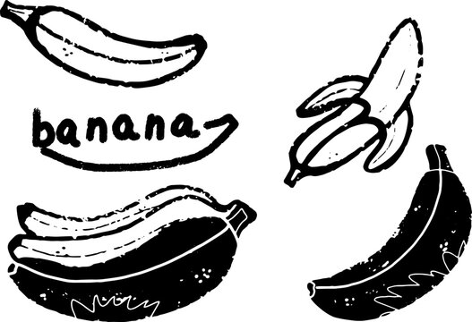 Banana stylized exotic fruit. Hand-drawn illustration in linocut style. Black vector element for design