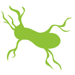 Plankton With Long Tentacles.Vector Illustration On White Background