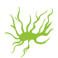 Plankton With Long Tentacles.Vector Illustration On White Background