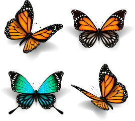 Obraz na płótnie Canvas 3D butterfly cartoon icon PNG with shadow