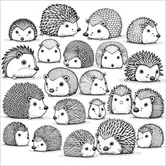 Vector illustration for coloring children many cute hedgehogs. Black and white vector different adorable hedgehogs in cartoon style next to each other. © catocala