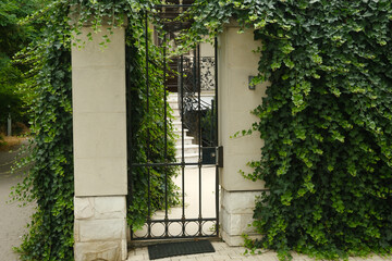 Entrance to the homestead. A beautiful gate made of iron bars overgrown with ivy.