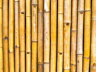 Close up view of bamboo canes side by side. Backgrounds.