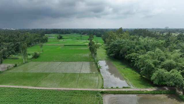 AERIAL Green landscape with village, bogura, bangladesh