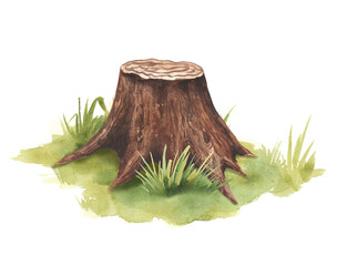 Tree stump with mushrooms and grass background. Watercolor illustration. Forest wildlife nature scene. Hand drawn mossy stump with wild mushrooms and green grass