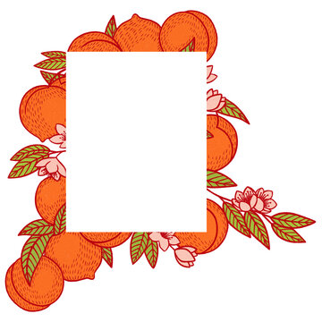 Festive card for invitations with rectangular blank frame surrounded by ripe peaches with green leaves