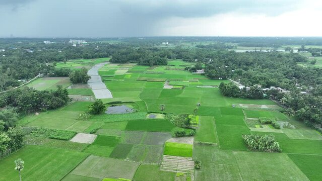 Aerial view of a field and village, bogura, bangladesh