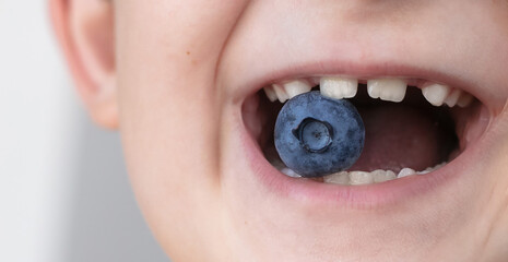 Close-up of a child's teeth with a blueberry.Copy space for text,banner.