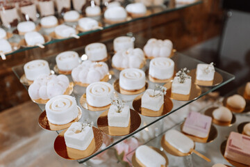 Festive dessert table with sweets. Wedding candy bar, various cakes, chocolates on stands.
