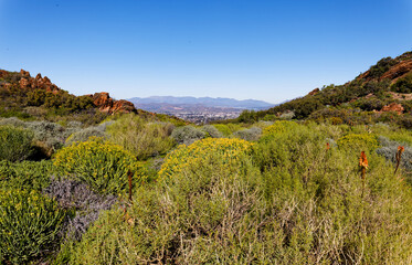 A view from a hill on a sunny day over a section of Worcester, Western Cape, South Africa.