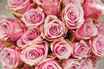 Bouquet of pink roses, top view. Beautiful, bright floral background. Close up.