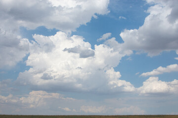 Fototapeta na wymiar steppe and horizon with blue sky with white fluffy clouds