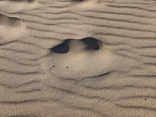 Fototapeta na wymiar Unique sand pattern with deep-set eyes and smile