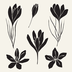 Flat vector saffron flowers set