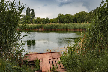 Wooden old pier for boats. Green tall reeds on the lake shore under a blue cloudy sky. A recreation area in the city among the trees on a bright sunny day. Reeds grow on the shore of the lake.