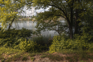 The concept of urban greening. A recreation area in the city among the trees on a bright sunny day. Beautiful colorful summer landscape with a lake in the park surrounded by green foliage of trees.