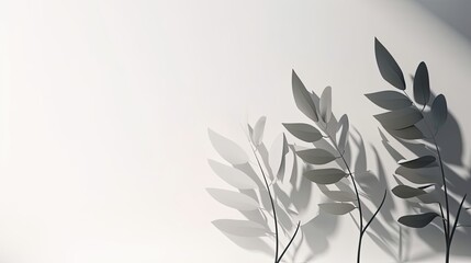 Original gray tones background image in minimalistic design with tree branches. Background for the presentation of various products.