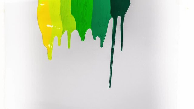 .time lapse yellow light green and dark green of Watercolors are dripping..Different types of green are shaded from light green to strong green and yellow are sagging into the white paper.