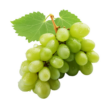 Ripe grapes with dew drops on a white isolated background, AI Generation