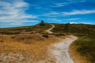 Schoorlschen D&uuml;nen in Noordholland